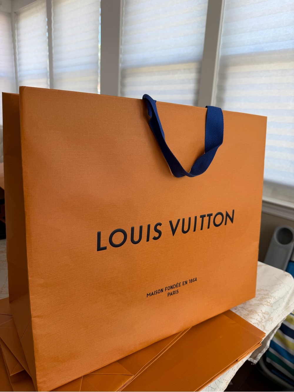 Louis Vuitton shopping bag